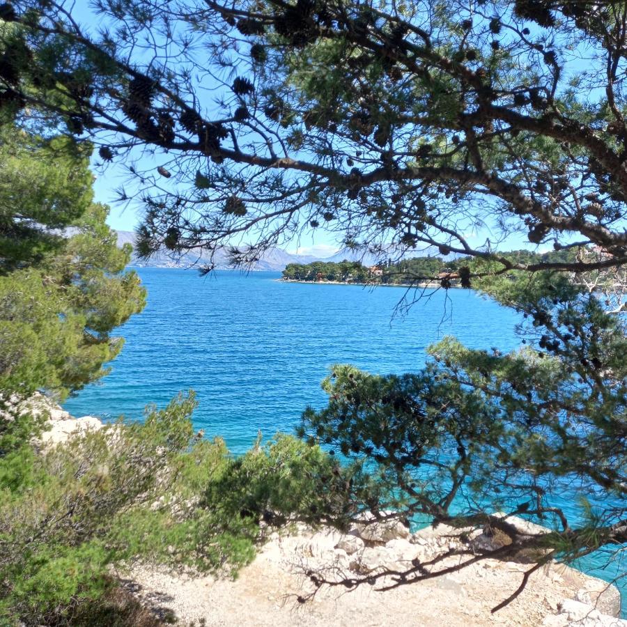 斯普利特卡Kuca Za Odmor Skalina - Sea View别墅 外观 照片
